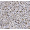 Sabbia Quarzifera per Filtro a sabbia 1 - 3 mm