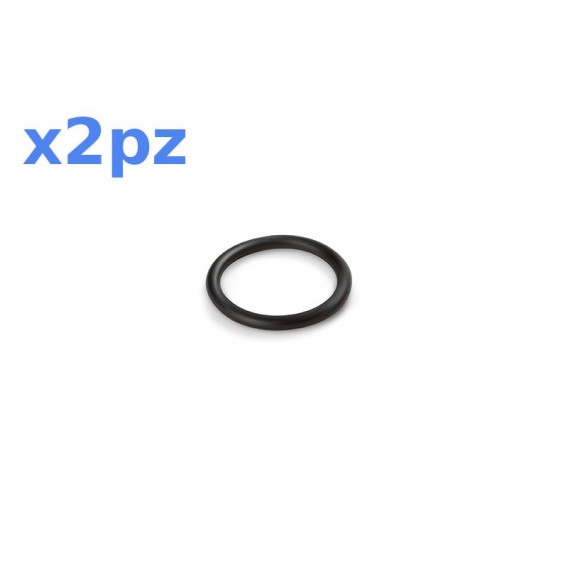 Guarnizione O-Ring ricambio per filtro cartuccia 2pz