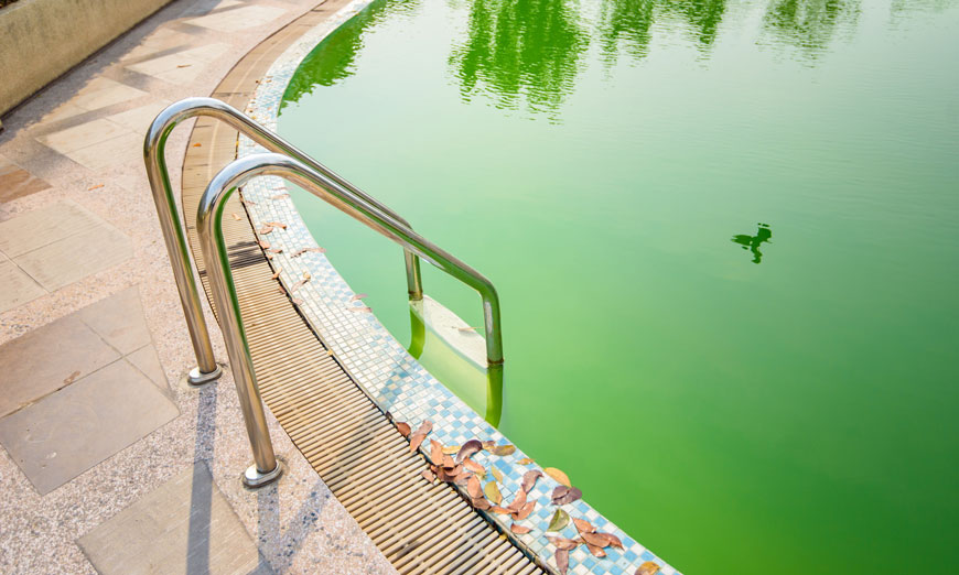 Acqua verde in piscina: cause e rimedi